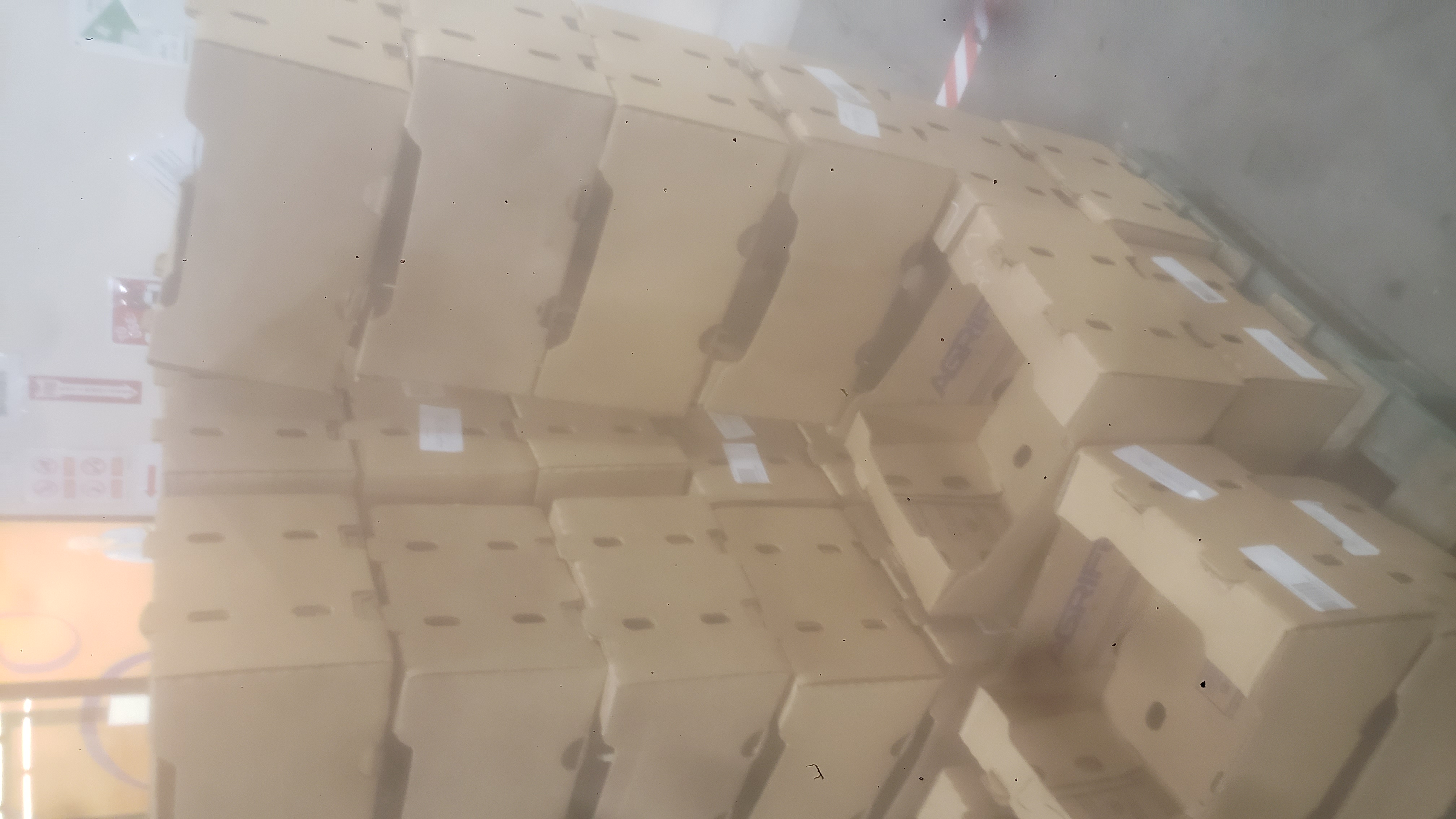 Rows of agricultural trays on pallets.